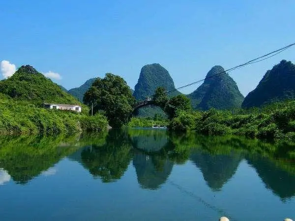 高性能绿色独特
